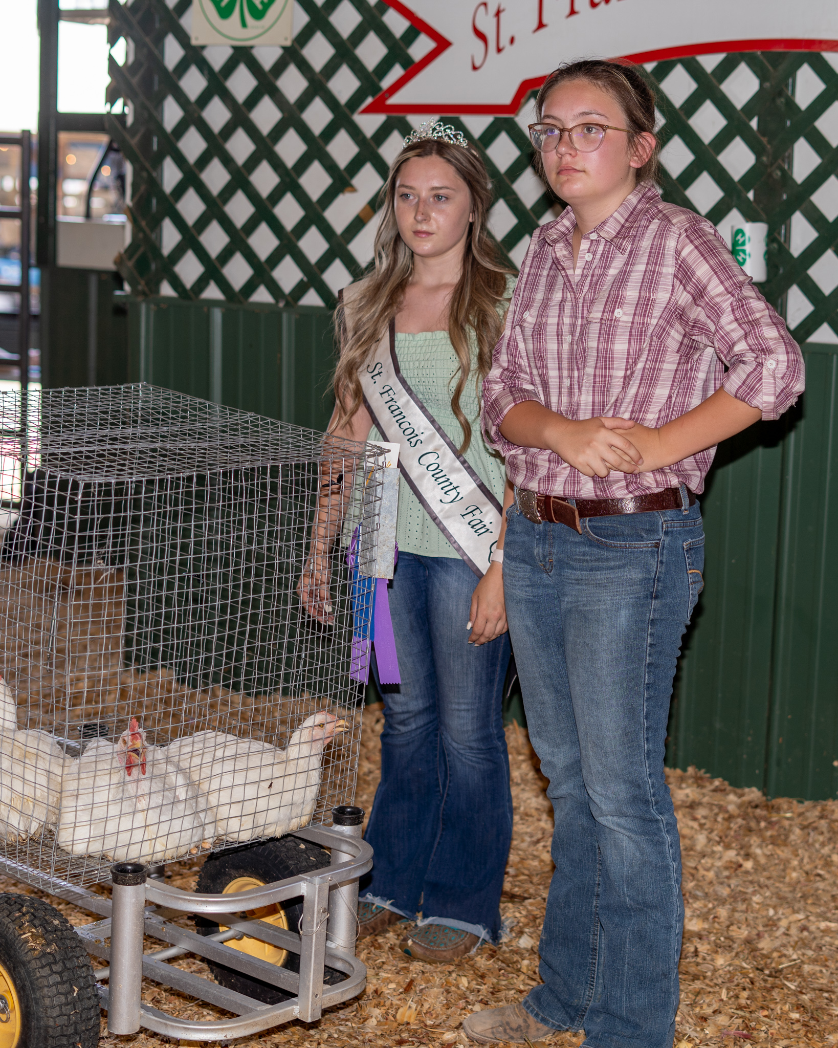 Megan Mahurin with a cart full of chickens